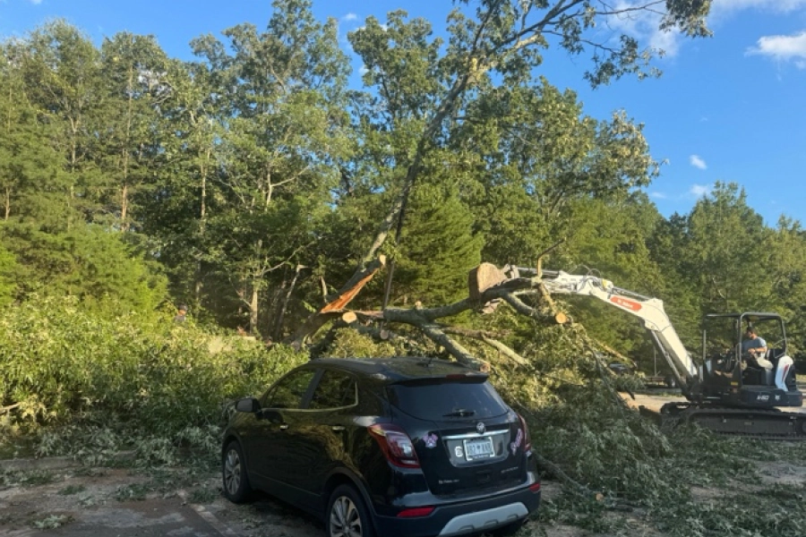 emergency tree removal services emergency tree removal services