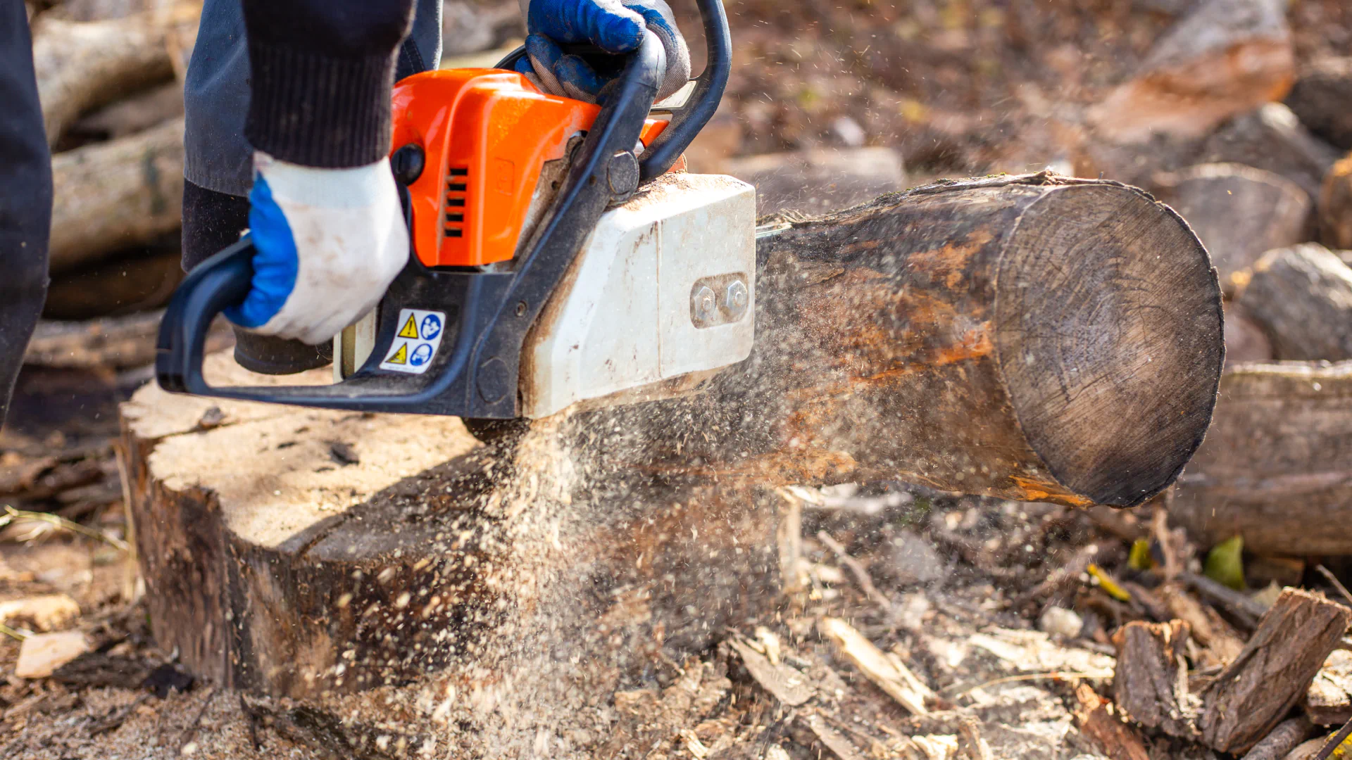 hero background main